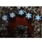 10ct. Blue & White Snowflake Clear Christmas Lights